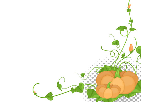 Halloween Festival Flourish Pumpkin Backgroundのイラスト素材