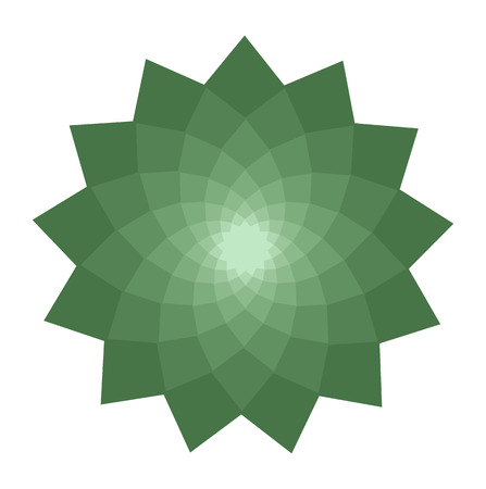 Floral Star Elementのイラスト素材