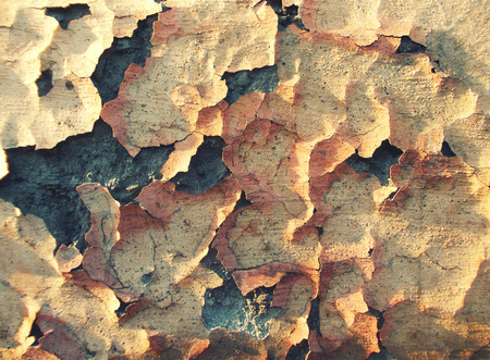 Abstract Grunge Peel Off Painted Wallの写真素材