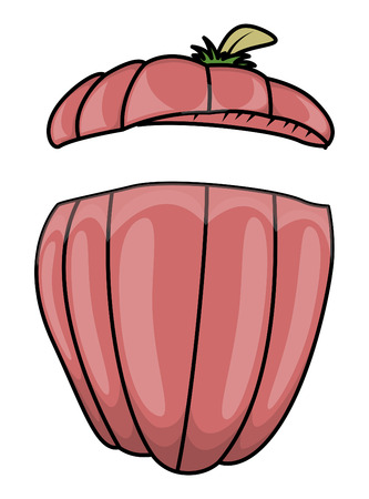 jack-o-lantern - halloween vector illustrationのイラスト素材