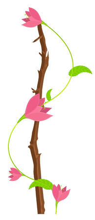 Pink Flowers Branch Vector Designのイラスト素材