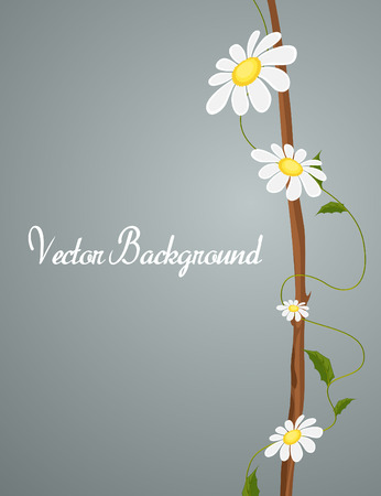 Beautiful Daisies Greeting Cardのイラスト素材