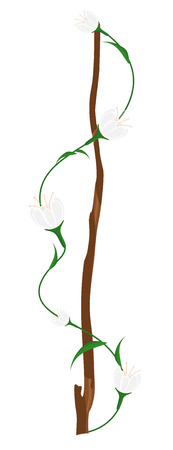 White Roses Festival Backgroundのイラスト素材