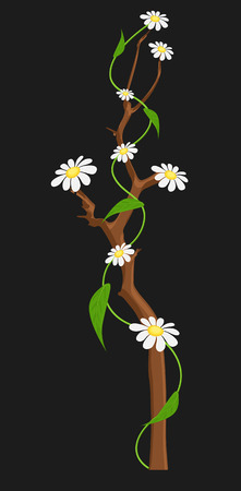 Decorative White Flowers Branch Vectorのイラスト素材