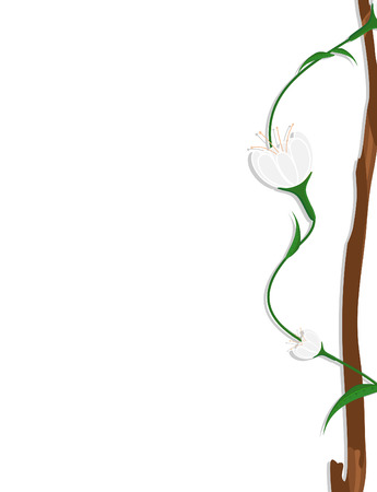 White Flowers Branch Frame Banner Designのイラスト素材