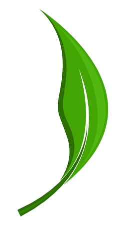 Spring Leafのイラスト素材