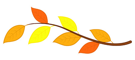Colored Leaves Twigのイラスト素材