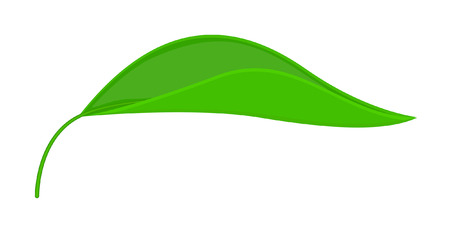 Vector Leafのイラスト素材