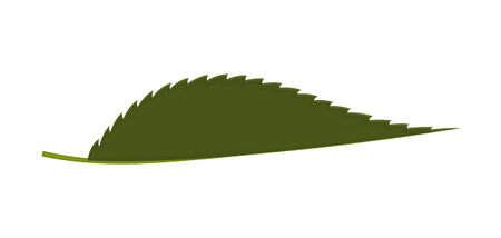 Leaf Shape Vectorのイラスト素材