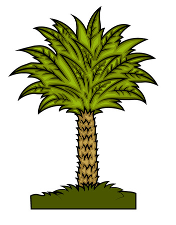 Fancy Palm Tree Vectorのイラスト素材
