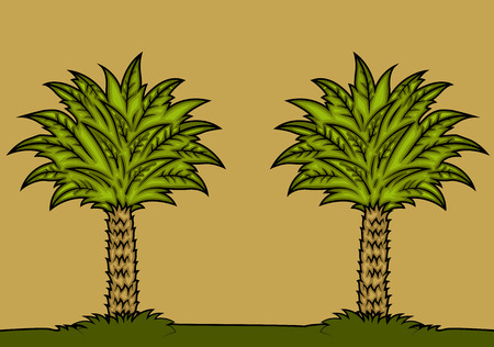 Palm Trees Backgroundのイラスト素材