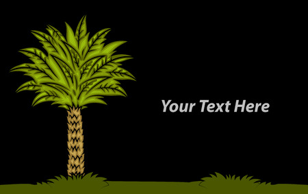 Palm Tree Vector Bannerのイラスト素材