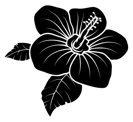 Lily Flower Vector Silhouetteのイラスト素材