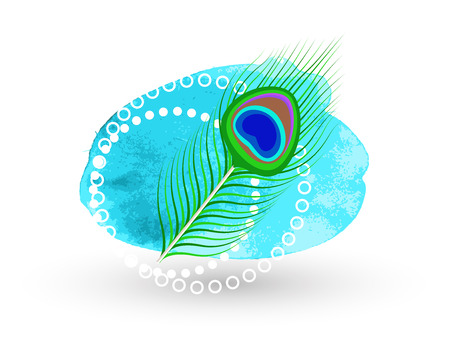 Vector Peacock Feather - Spiritual indianのイラスト素材