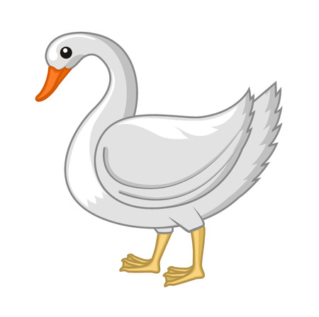 Cartoon Swan Birdのイラスト素材