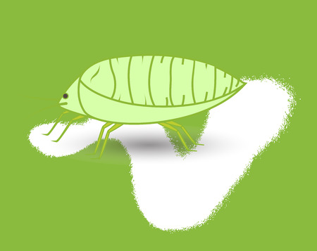 Plant Lice Insectのイラスト素材