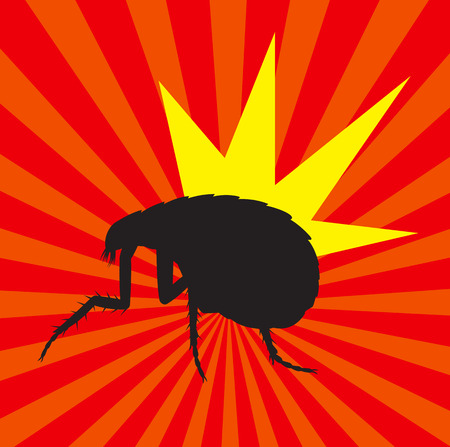 Woodlouse Insect Shapeのイラスト素材