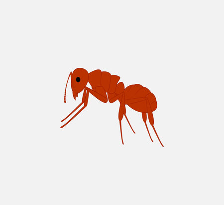 Red Ant Vectorのイラスト素材
