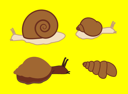Wild Snailsのイラスト素材