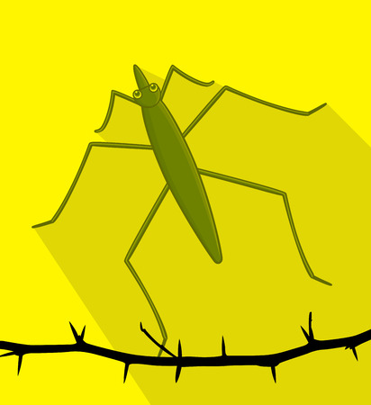 Water Strider Wild Insectのイラスト素材