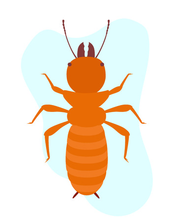 Termite Insect Vectorのイラスト素材
