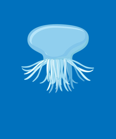 Jellyfish Vectorのイラスト素材