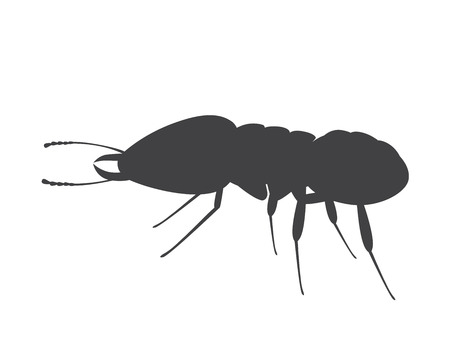 Termite Insect Silhouetteのイラスト素材