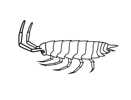 Drawing Art of Woodlouse Insectのイラスト素材