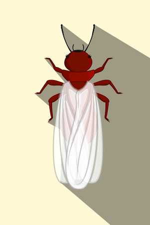 Winged Termiteのイラスト素材