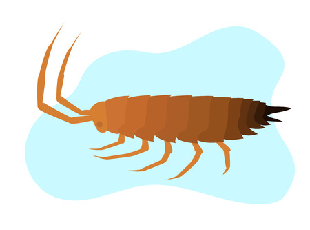 Woodlouse Insect Vectorのイラスト素材