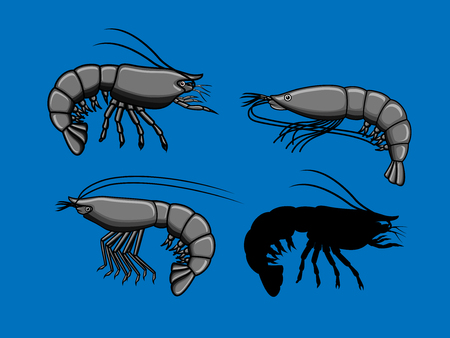 Prawn Fishesのイラスト素材