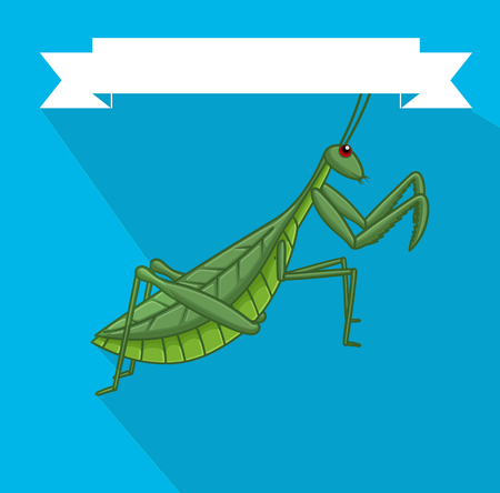 Creepy Mantid Insectのイラスト素材