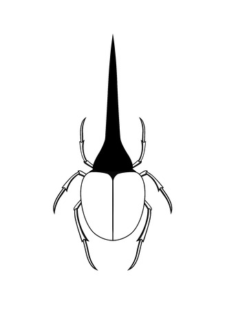 Drawing Art of Hercules Beetle Insectのイラスト素材