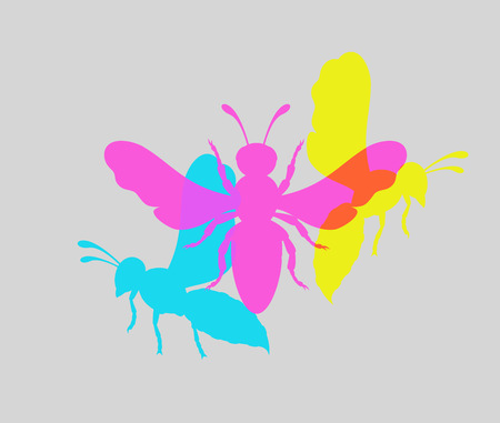 Colorful Wasp Insectsのイラスト素材