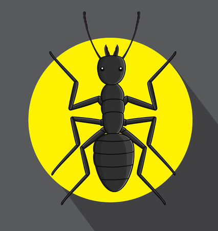 Ant Vectorのイラスト素材