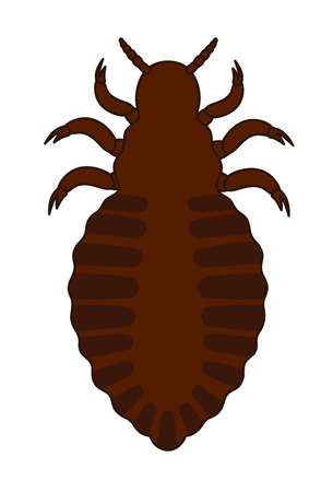 Tick Insectのイラスト素材