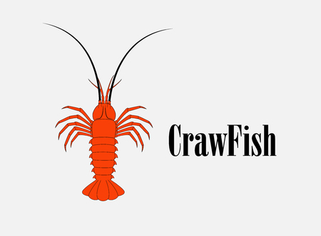 Crawfish Vector Illustrationのイラスト素材