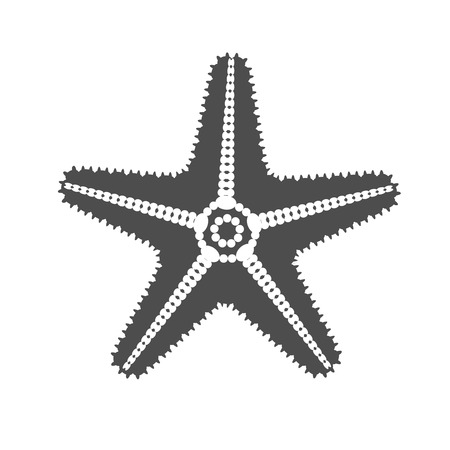 Starfish Shape Vectorのイラスト素材