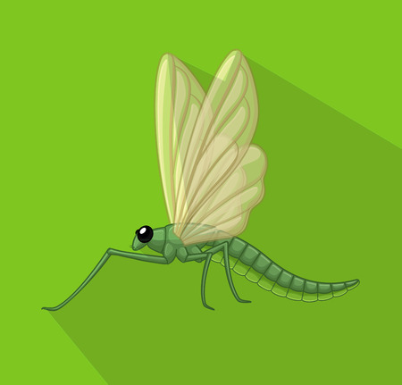 Dragonfly Insectのイラスト素材
