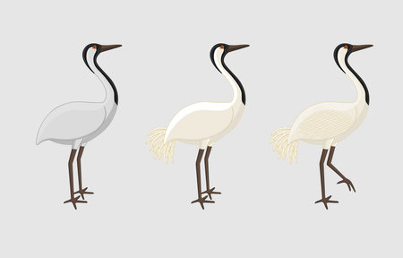 Lucky Crane Birds Illustrationのイラスト素材