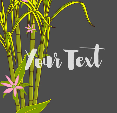 Flowers Blooming on Sugarcaneのイラスト素材