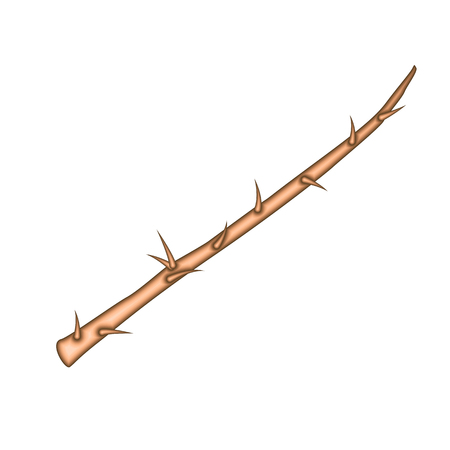 Tree Thorns Isolated on White Backgroundのイラスト素材
