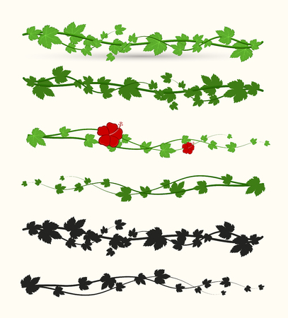 Set of Leaves Climbers Vectorのイラスト素材