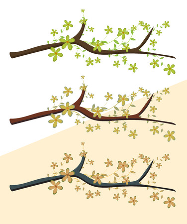 Branches of Flowersのイラスト素材