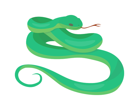 Python reticulated albino boa snake constrictor wildlife nature snake vector illustration. Boa snake wildlife nature animal and exotic boa gold snake. Attack crawling predator danger snake.のイラスト素材