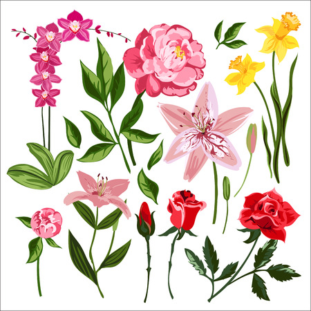 Nature flowers wreath flowers foliage ribbons watercolor style. Greeting holidays card vector. Flowers vector and wreath silhouette. Watercolor style. Flowers and ribbons vector decoration templateのイラスト素材
