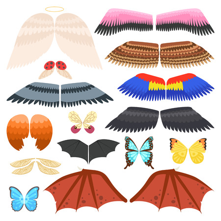 Wings isolated collection animal feather and wings isolated pinion. Wings isolated bird feather animal freedom flight and vector wings isolated peace design flying different elementsのイラスト素材
