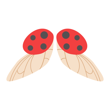 Ladybug wings isolated animal isolated pinion. Wings isolated Ladybug insect freedom flight and vector wings isolated peace design flying different elementsのイラスト素材