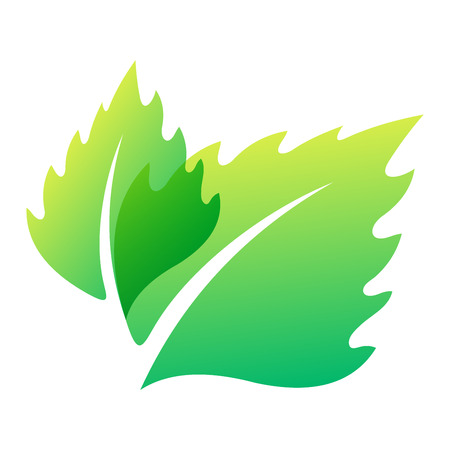 Green leaf eco design element icon. Leaf icon vector illustration friendly nature elegance symbol. Decoration flora leaf icon on white. Natural element ecology symbol green organic iconのイラスト素材