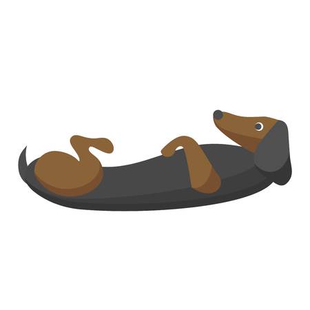 Dachshund dog playing purebred breed, brown puppy canine vector. Cute dachshund dog and little dachshund dog. Domestic young dachshund dog adorable portrait doggy. Domestic sausage pedigree.のイラスト素材
